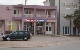 Pansion Alfa
